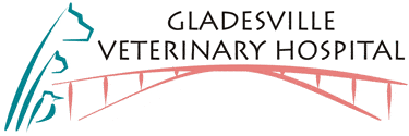 Flea Control for Pets Information by Gladesville Veterinary Hospital