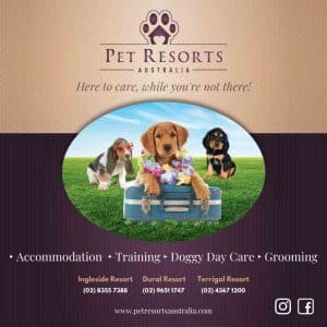 ‣ Accommodation ‣ Training ‣ Doggy Day Care ‣ Grooming